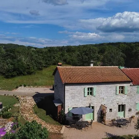 Al Merlo Olivo Buje