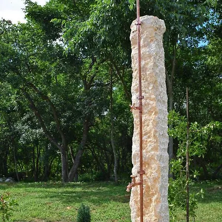 Al Merlo Olivo Buje