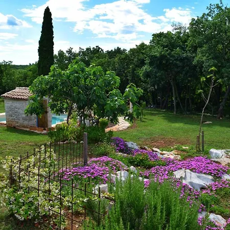 Al Merlo Olivo Hébergement de vacances *